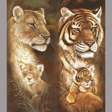 Лев и тигр с котятами.