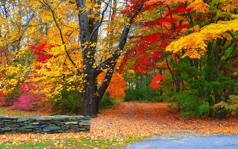 осень - природа, осень, пейзаж - оригинал