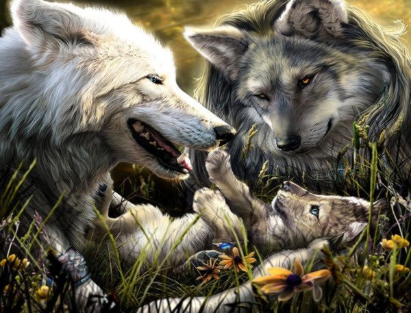 волки - волки, животные, звери - оригинал