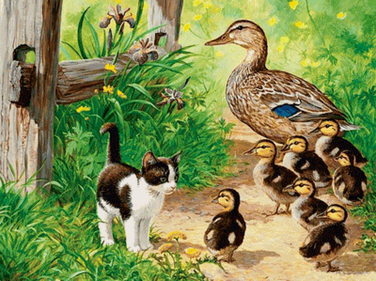 №1967105 - котенок, утята, птицы, животные - предпросмотр
