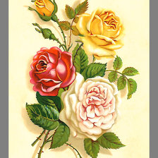 Оригинал схемы вышивки «Серия "Винтаж". Розы» (№1967616)