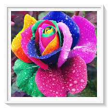 Схема вышивки «Flor de colores»