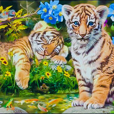 Tiger Cubs.