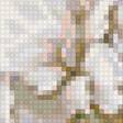 Предпросмотр схемы вышивки «Белые пионы» (№1969032)