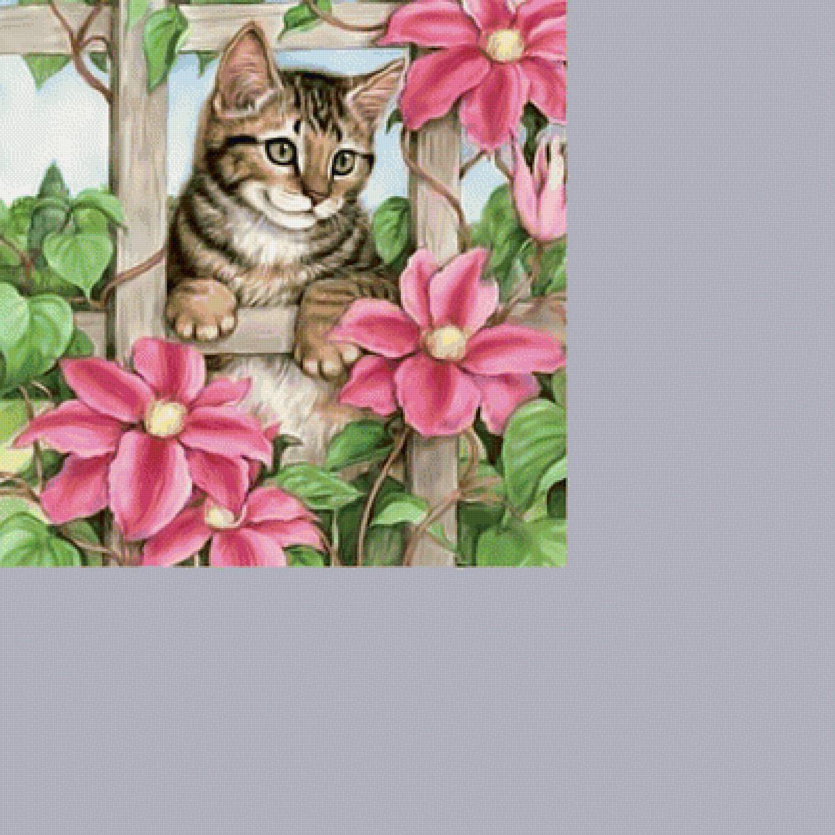 Котик. - животные, кот, цветы, котенок - предпросмотр