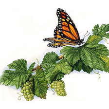 Оригинал схемы вышивки «бабочка» (№1972344)