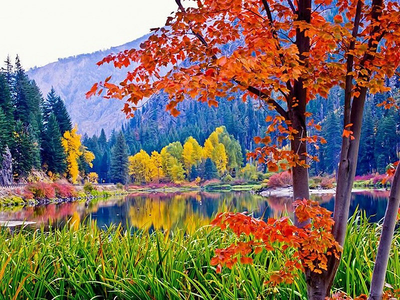 Осенний пейзаж. - осень, лес, горы, озеро, пейзаж - оригинал