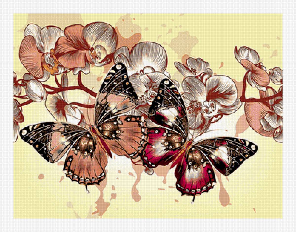 Серия "Бабочки". - насекомые, цветы, орхидеи, бабочки - предпросмотр