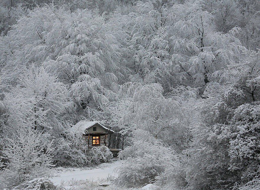 Теплая зима - зимовье, иней, домик в лесу, зима, пейзаж, природа - оригинал