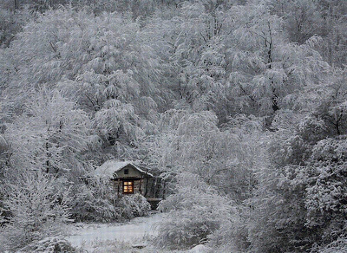 Теплая зима - домик в лесу, пейзаж, иней, зима, зимовье, природа - предпросмотр