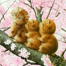 Котята на дереве