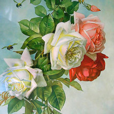Оригинал схемы вышивки «Серия "Розы".» (№1975673)