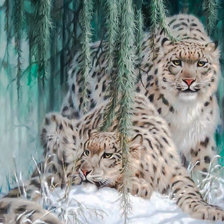 Оригинал схемы вышивки «Stunning Snow Leopard Pair-1.» (№1976362)