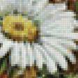 Предпросмотр схемы вышивки «polné kvety» (№1976501)