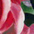 Предпросмотр схемы вышивки «Розовые розы.» (№1977166)