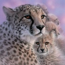 Схема вышивки «CHEETAH MOTHER'S LOVE»