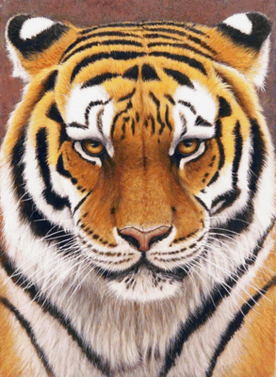 №1978549 - животные, тигры, тигр, хищники - предпросмотр