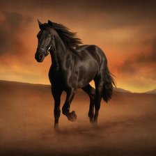 Схема вышивки «Красивая лошадь»