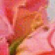 Предпросмотр схемы вышивки «Красивый букет роз на столе с чашкой  чая» (№1978724)