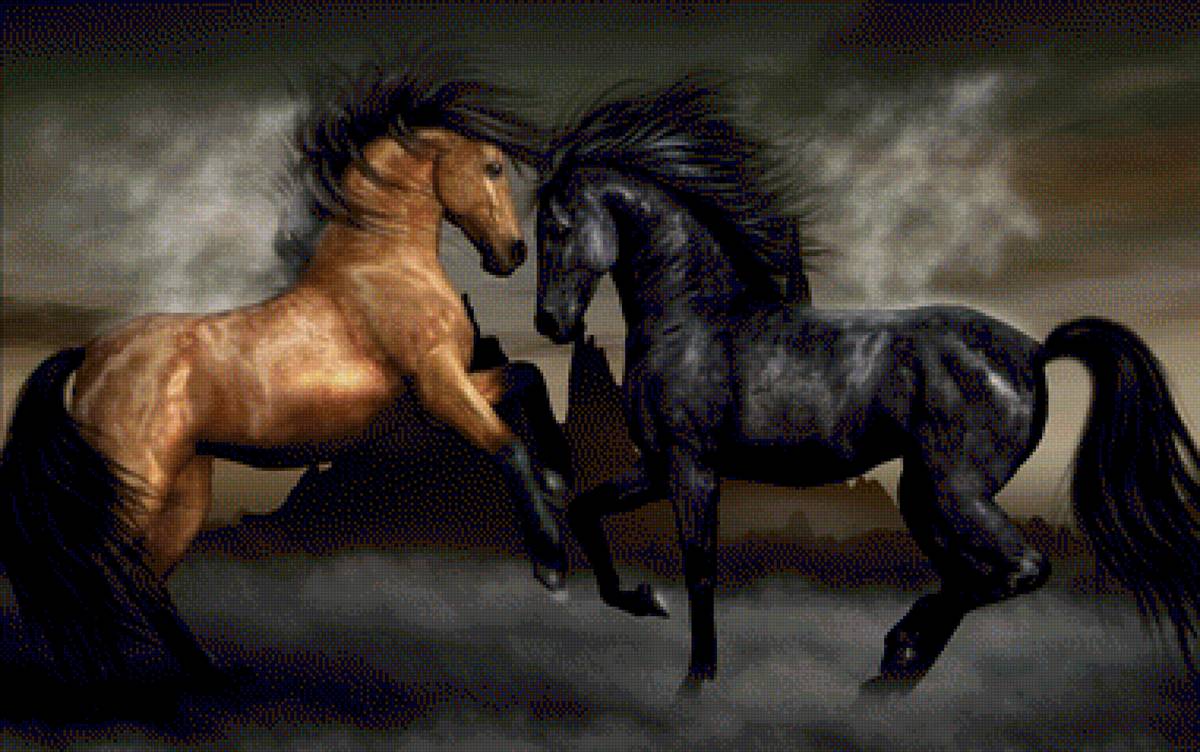 Лошади - пара лошадей, красивые лошади, скакуны - предпросмотр