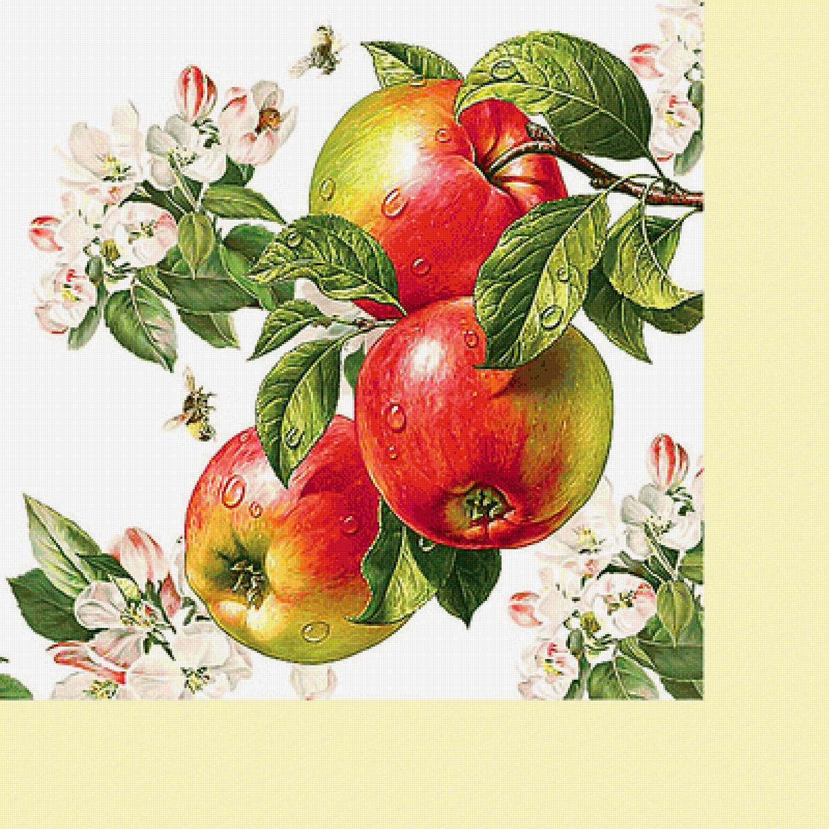 Серия "Фруктово-ягодная". Яблоки - фрукты, яблоки - предпросмотр
