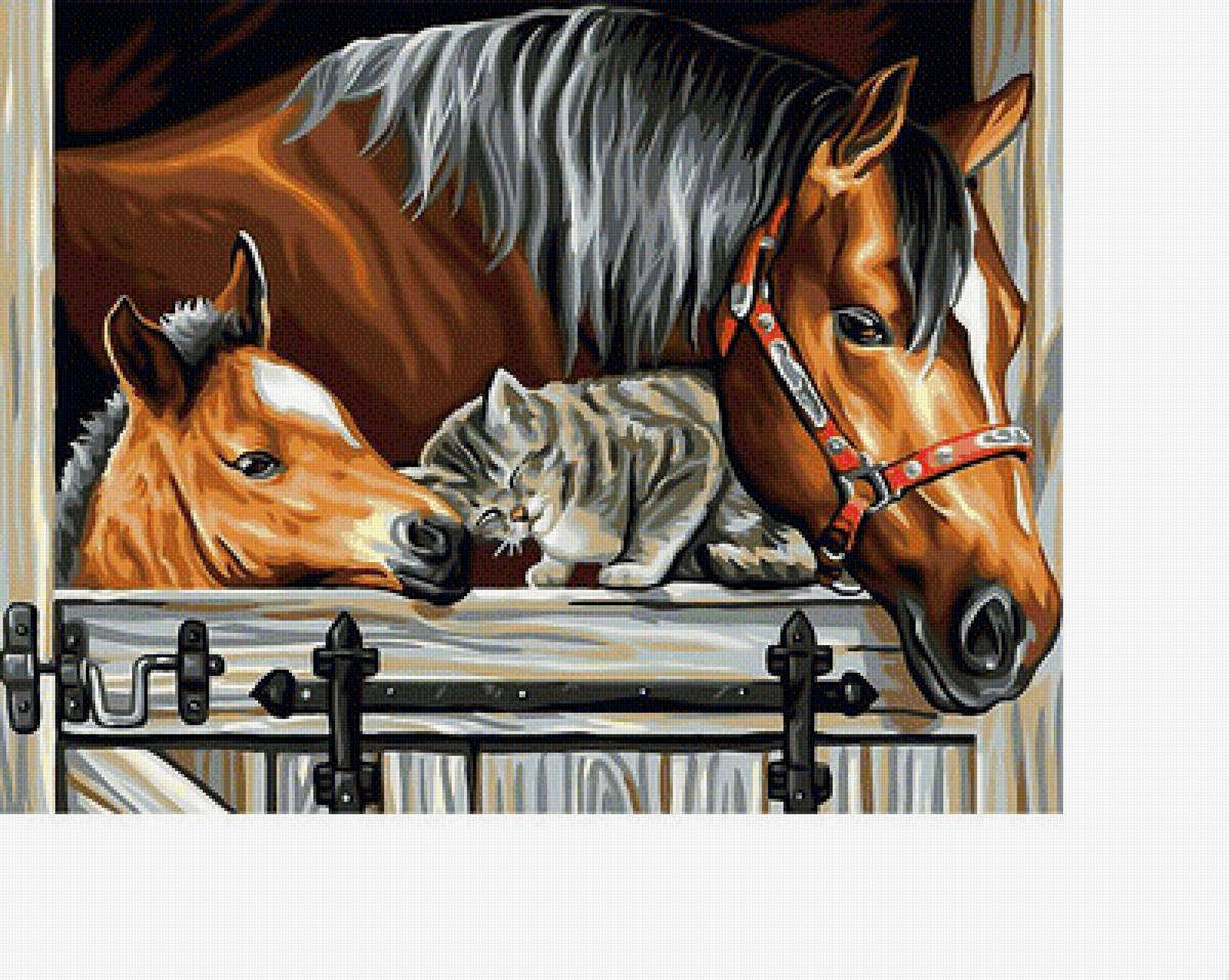 Кони и котик. - животные, кони, лошади, кошка, кот - предпросмотр