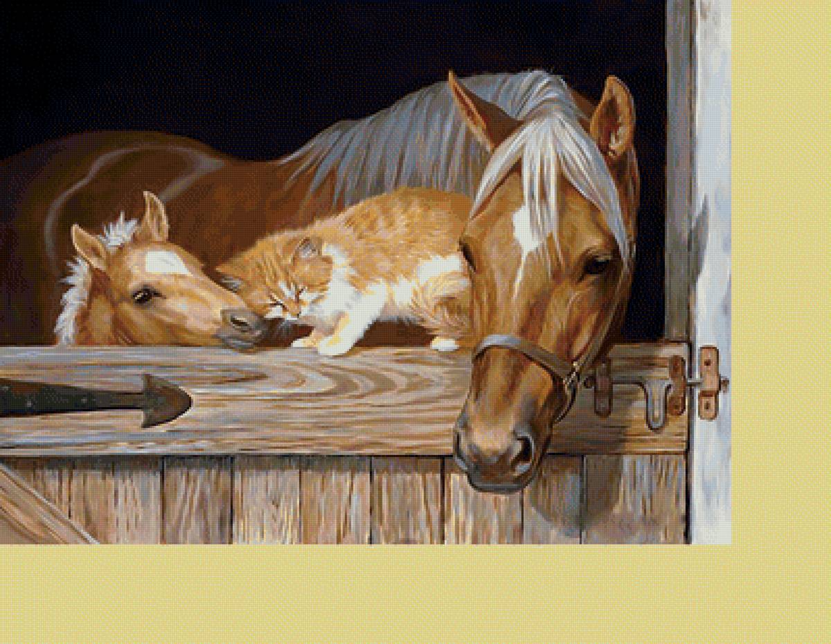Кони и котик. - кони, кот, животные, лошади - предпросмотр