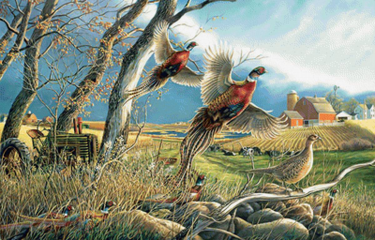 Осенний пейзаж с фазанами. - дом, птицы, осень, поле, фазаны, пейзаж - предпросмотр