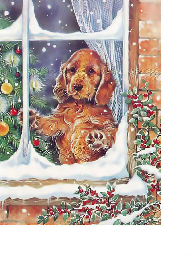 В ожидании... - зима, новый год, елка, окно, собака - оригинал