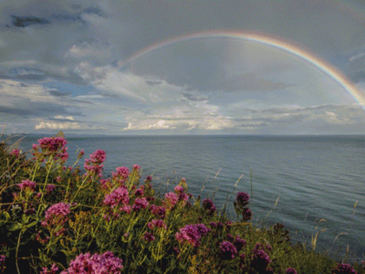 Радуга над морем - радуга, море, цветы, берег - предпросмотр