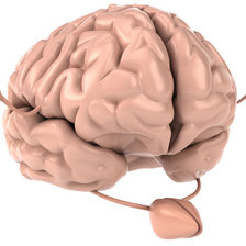 Схема вышивки «мозг»