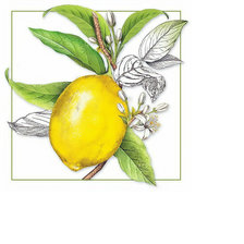 Схема вышивки «Лимон.»