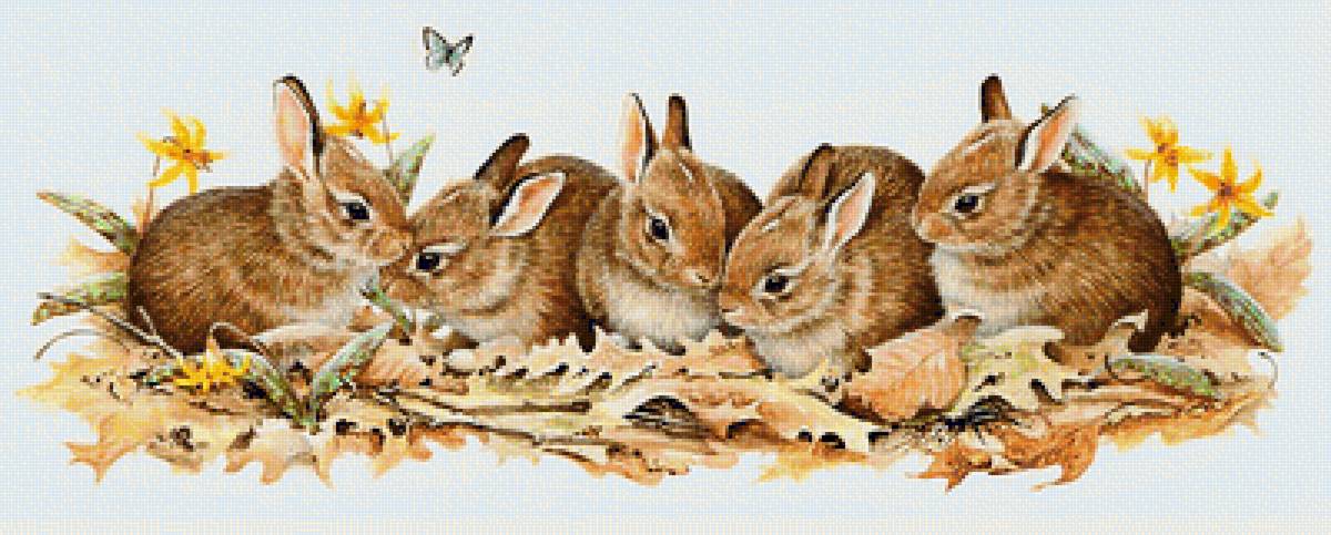 Серия "Зайцы-кролики" - животные, детское, зайцы, кролики - предпросмотр