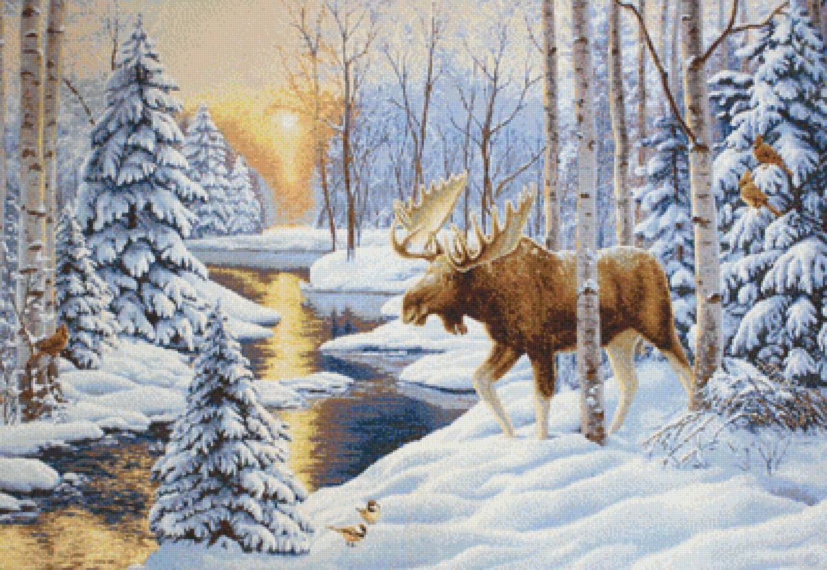 №1985139 - лось, мороз, снег, закат, природа, река, зимний лес - предпросмотр