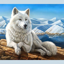 Схема вышивки «Белый волк.»