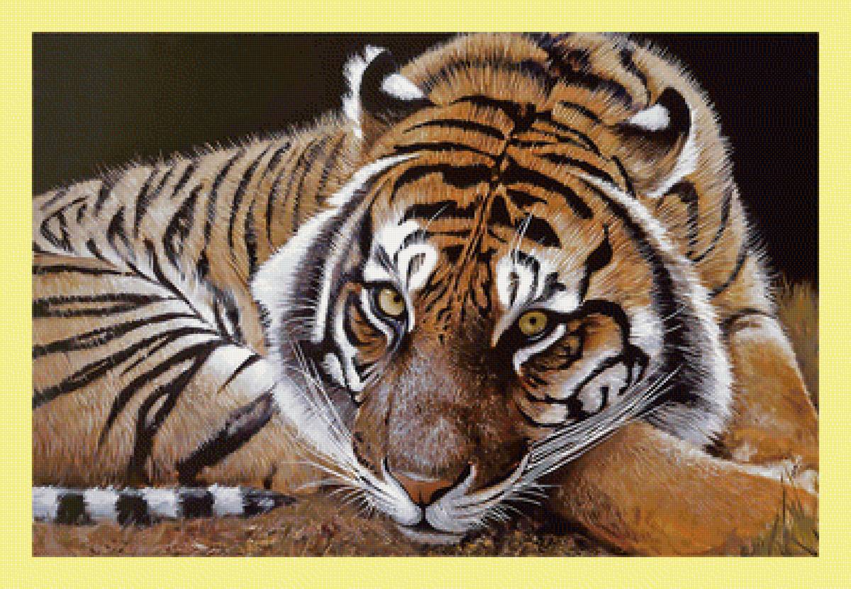 Бенгальский тигр. - животные, живопись, взгляд, тигр, хищник - предпросмотр