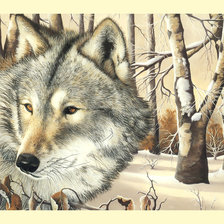 Волк в зимнем лесу.
