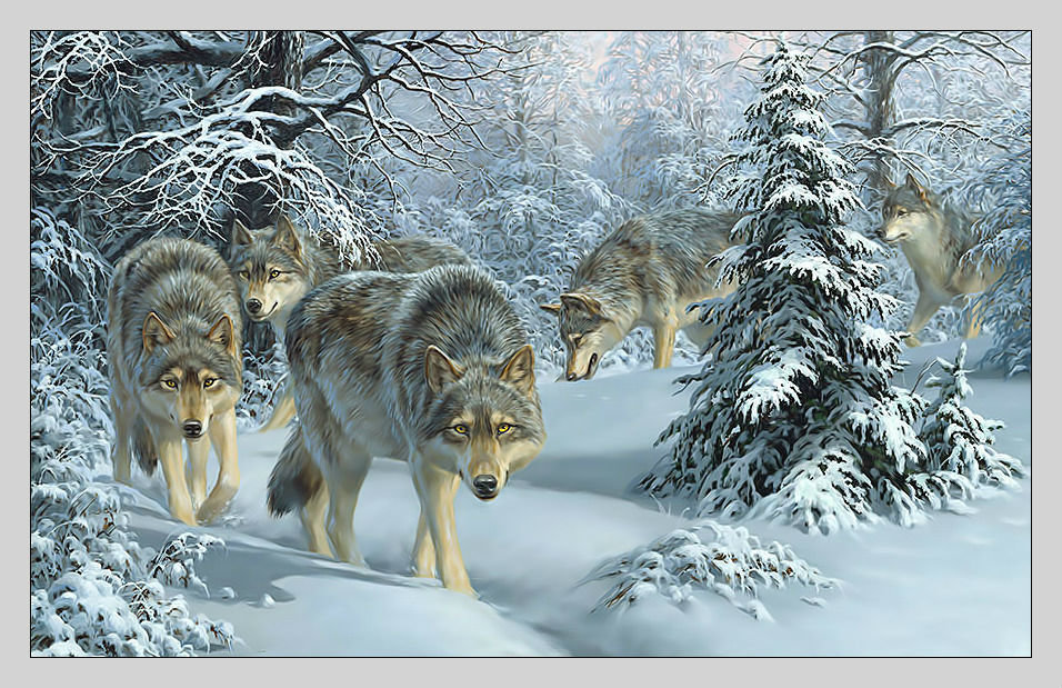 Волчья стая. - волки, лес, зима, стая, деревья, хищники, сугробы, снег - оригинал