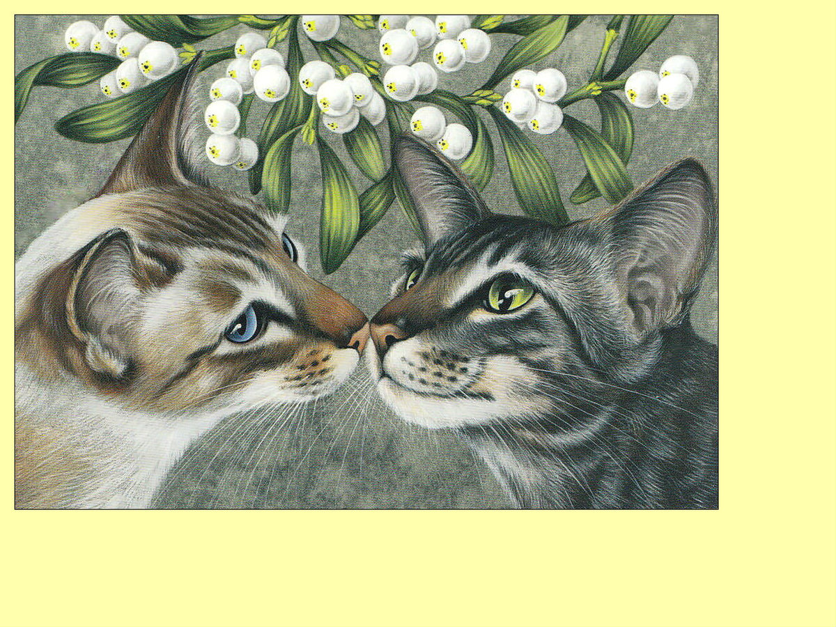 Котики. - ветка, коты, животные, кошки, цветы - оригинал