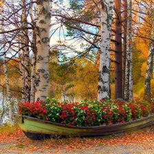 лодка цветов