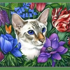 кот в цветах