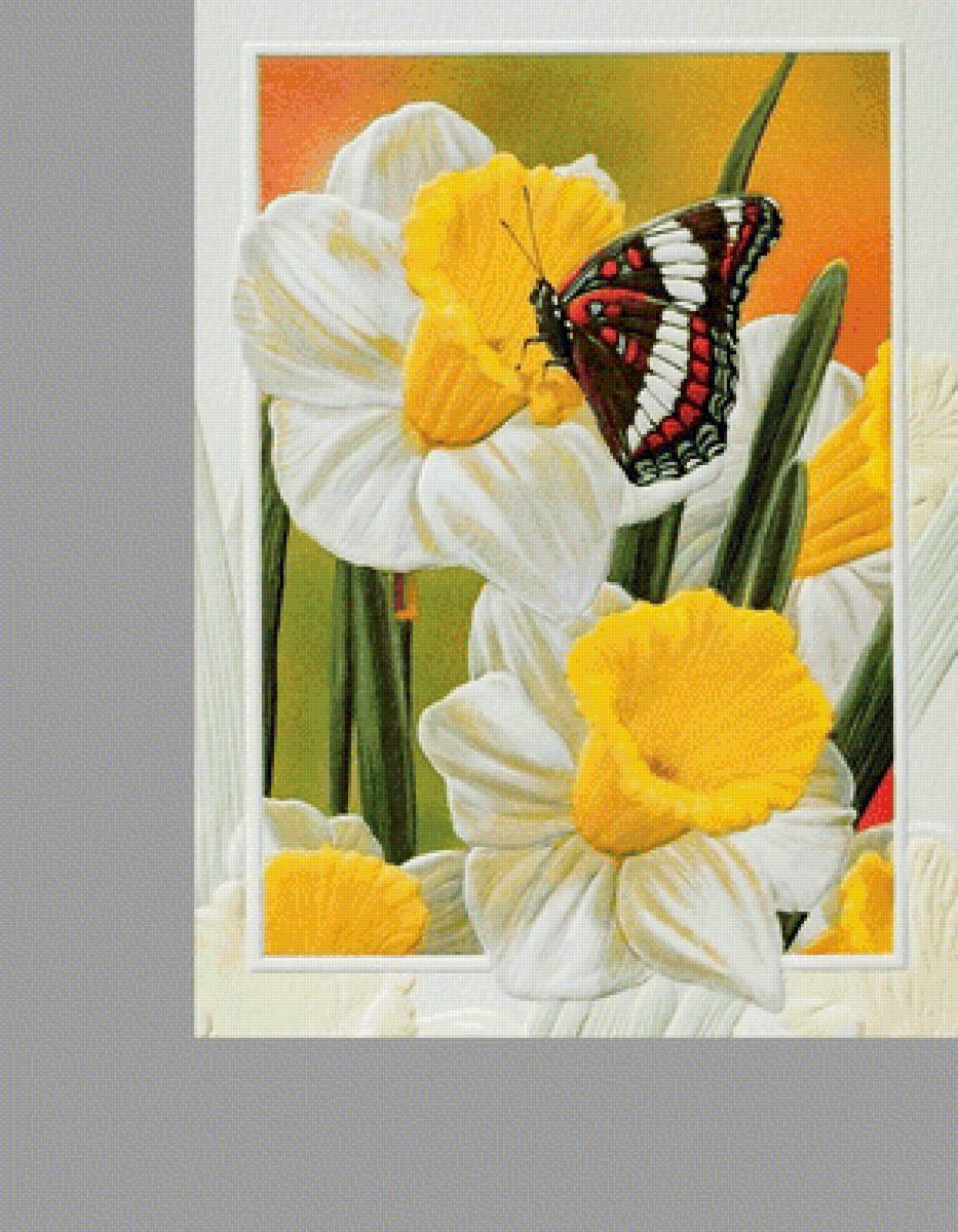 №1990939 - бабочки, цветы - предпросмотр