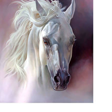 Белый конь.