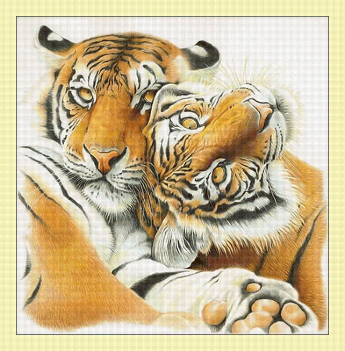 Тигры. - ласка, тигры, животные, живопись, взгляд, хищники - предпросмотр