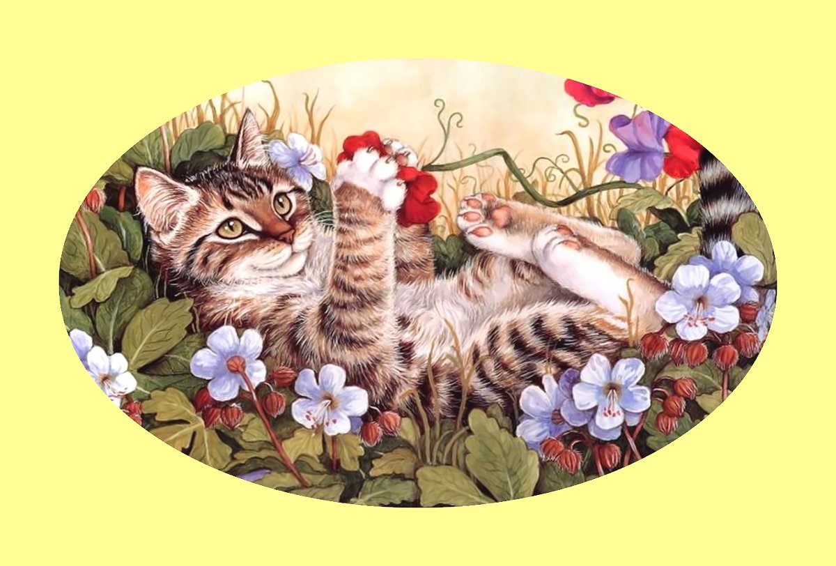 Котик в цветах. - животные, кошка, кот, цветы - оригинал
