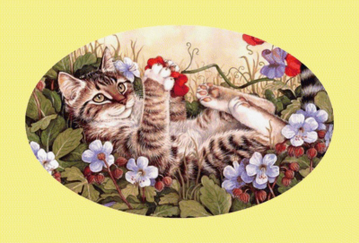 Котик в цветах. - животные, кошка, цветы, кот - предпросмотр