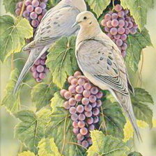 Схема вышивки «Птички и виноград»