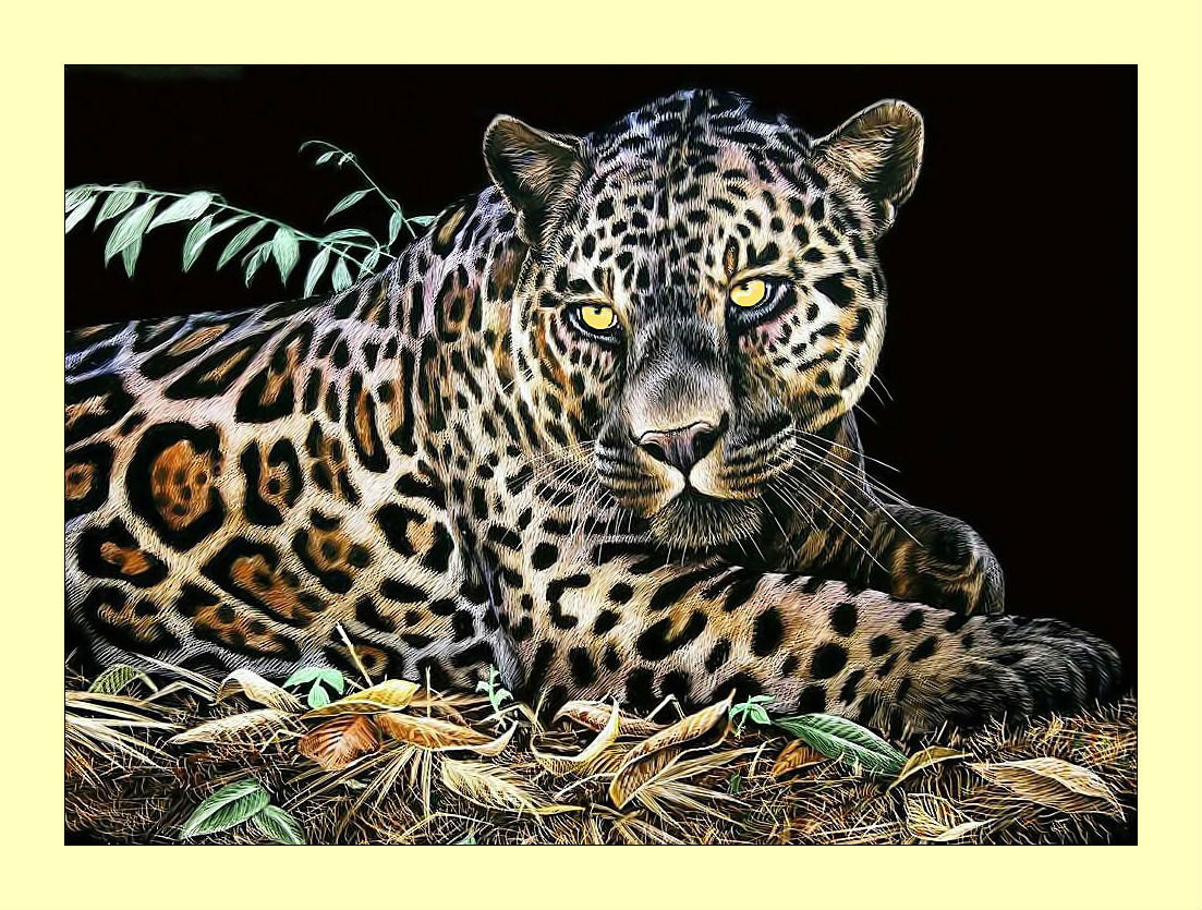 Леопард. - взгляд, хищник, леопард, животные - оригинал