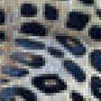 Предпросмотр схемы вышивки «Леопард.» (№1993337)
