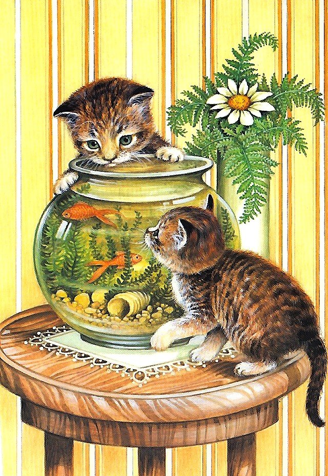 котята - аквариум, рыбки, котята - оригинал